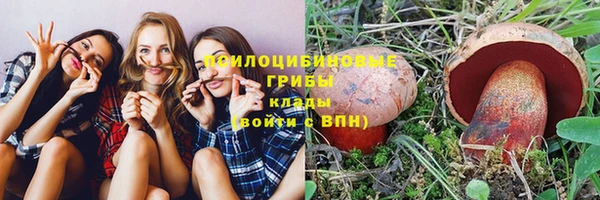 дмт Ростов
