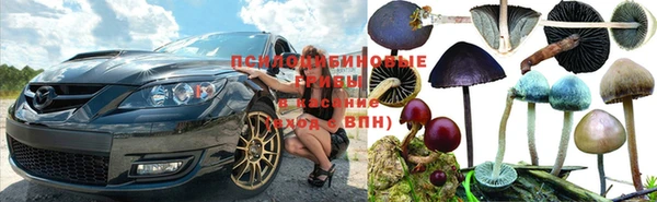 дмт Ростов