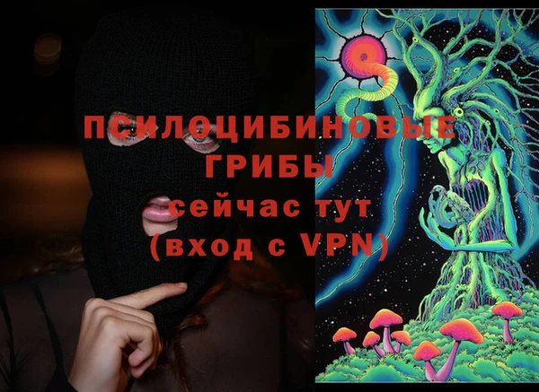 ПСИЛОЦИБИНОВЫЕ ГРИБЫ Россошь